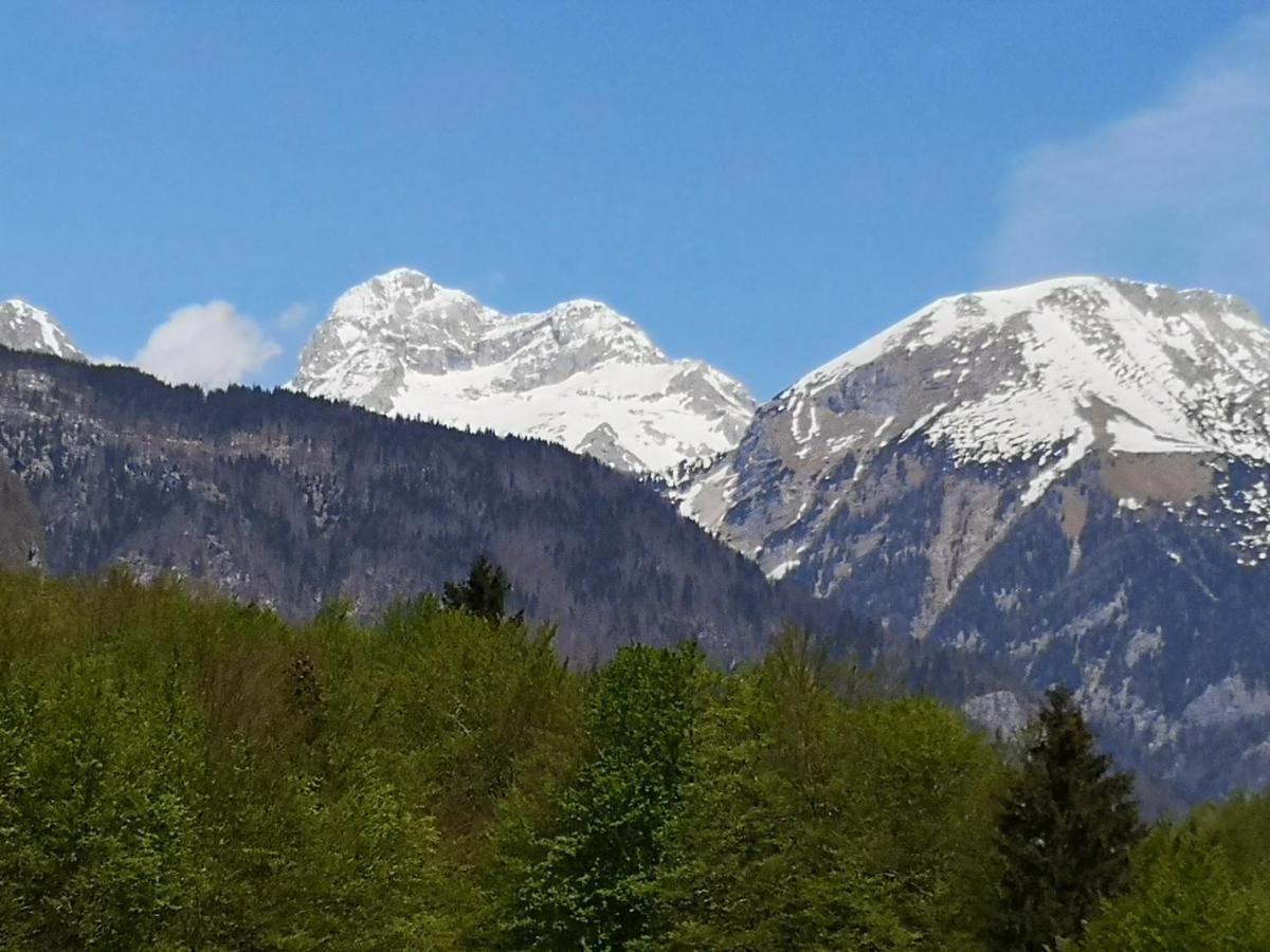 Apartmaji Prezelj Bohinj Luaran gambar