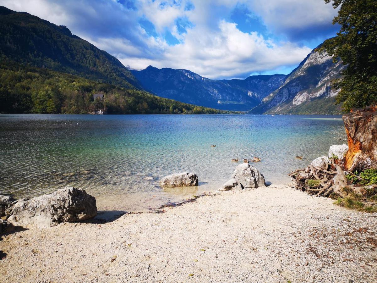Apartmaji Prezelj Bohinj Luaran gambar