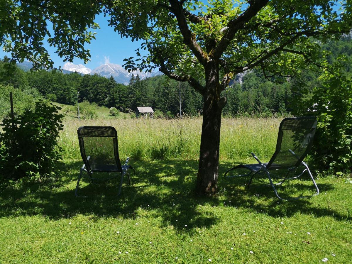 Apartmaji Prezelj Bohinj Luaran gambar