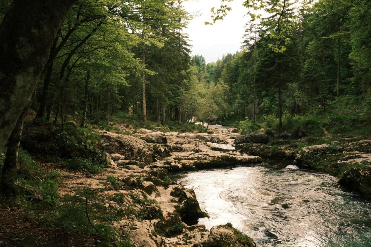 Apartmaji Prezelj Bohinj Luaran gambar