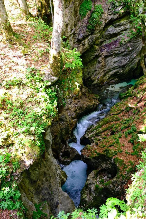 Apartmaji Prezelj Bohinj Luaran gambar